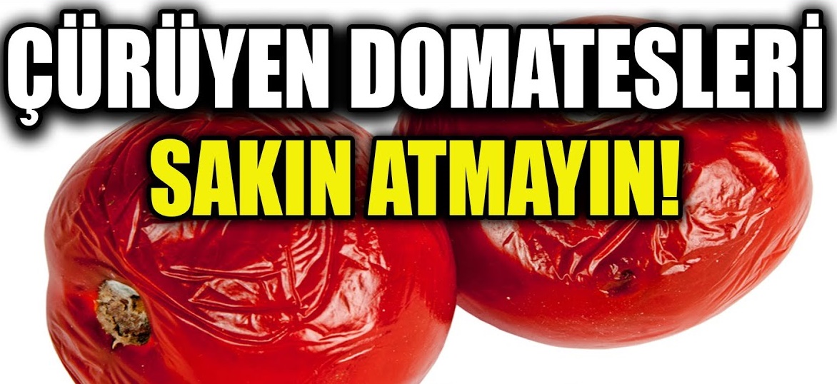 Çürümüş domatesi çöpe atmayın işte çürümüş domatesle yapabilecekleriniz